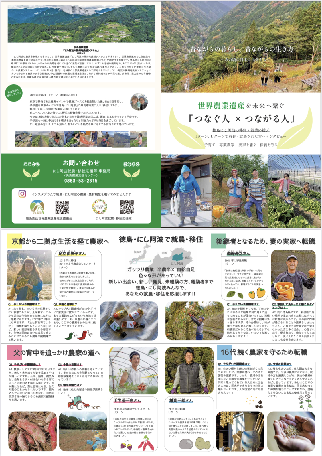 Tokushima migration promotion brochure